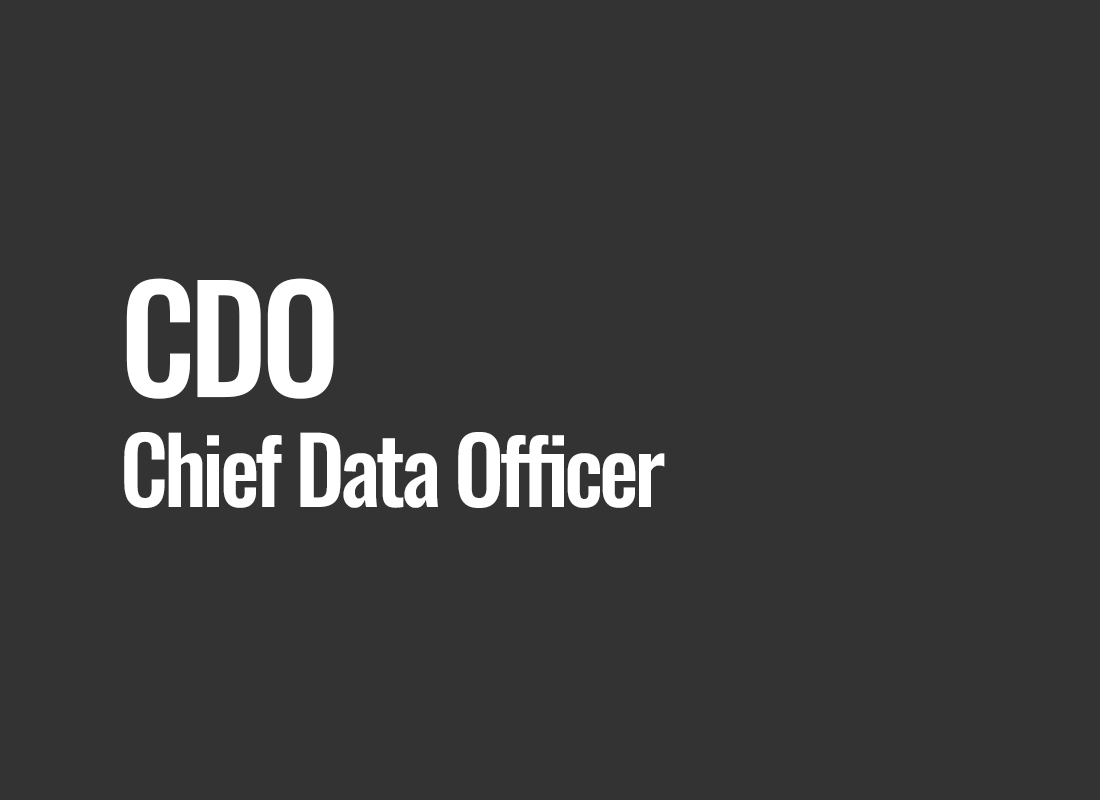 CDO (Chief Data Officer)