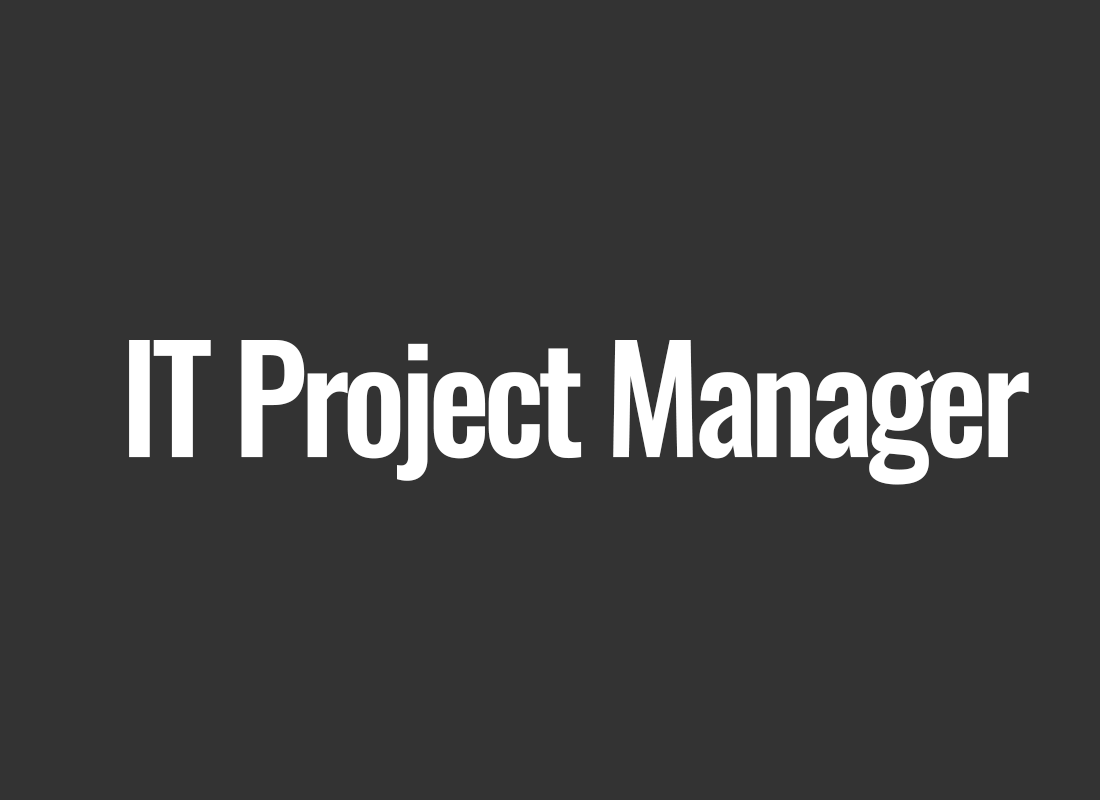 IT Project Manager