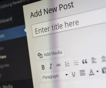 Portal, wortal, CMS. Zrozumieć różnice