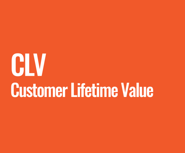 CLV (Customer Lifetime Value)