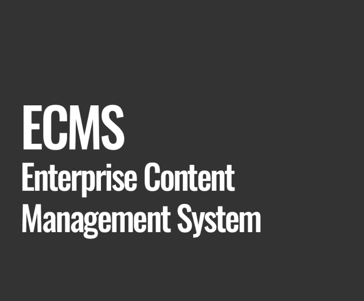 ECMS (Enterprise Content Management System)