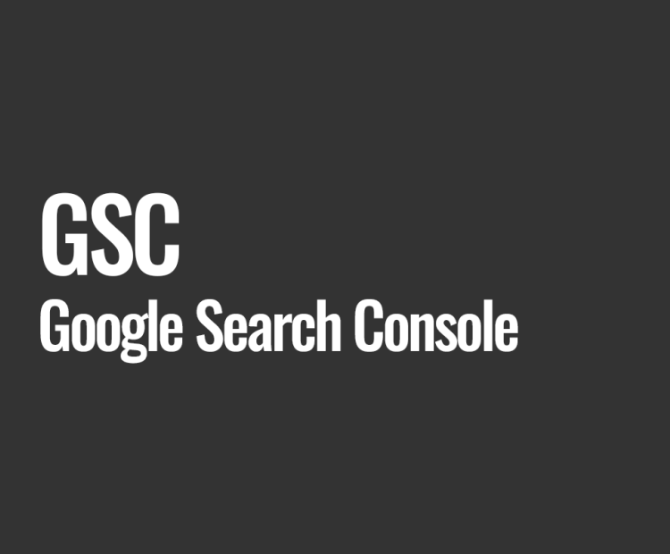 GSC (Google Search Console)
