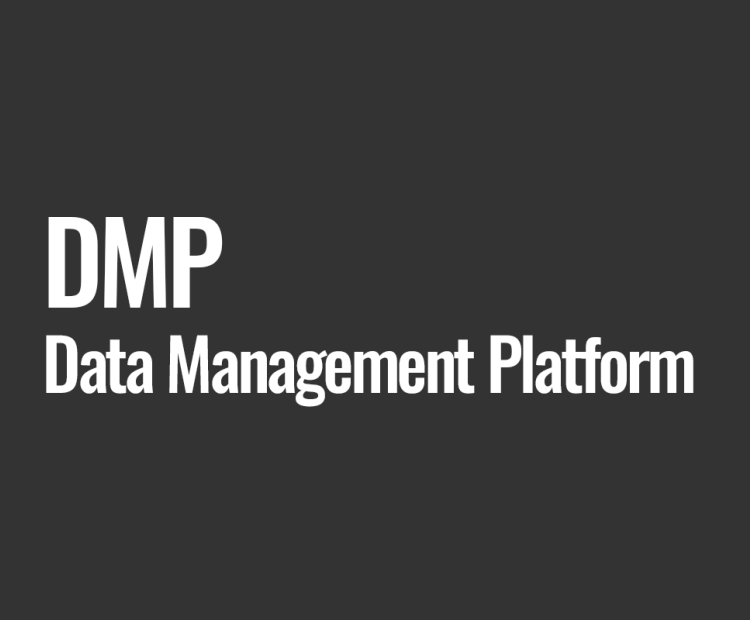 DMP (Data Management Platform)