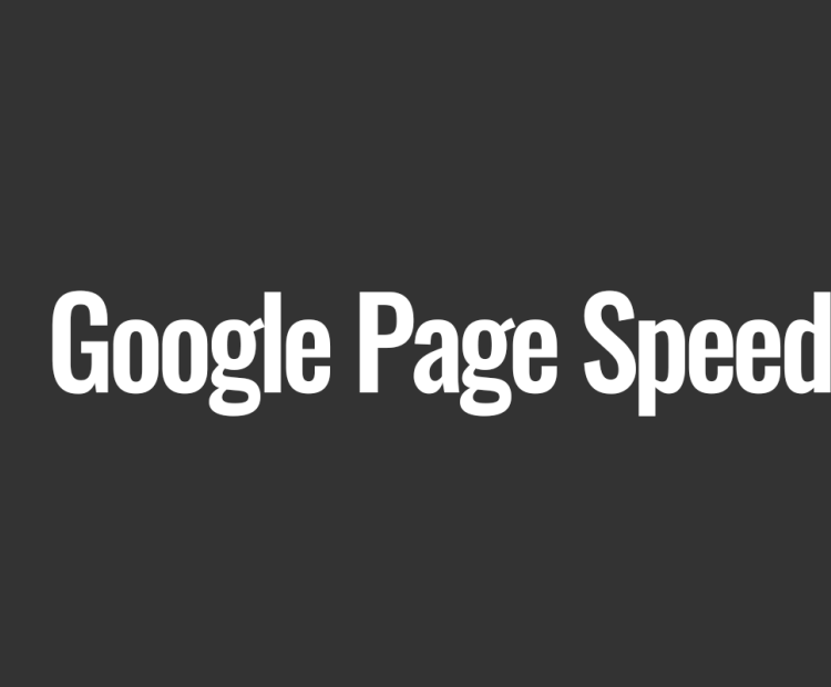 Google Page Speed