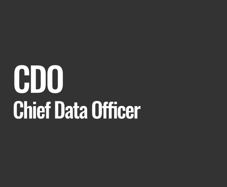 CDO (Chief Data Officer)