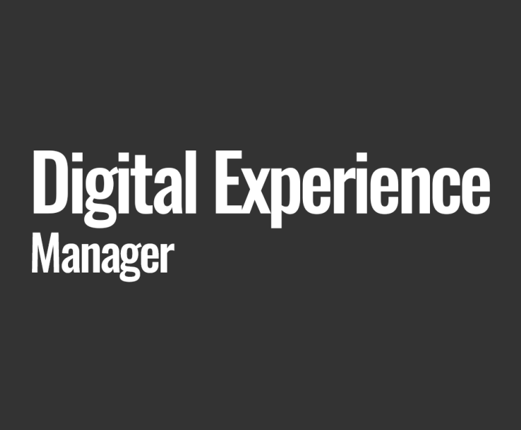 Digital Experience Manager