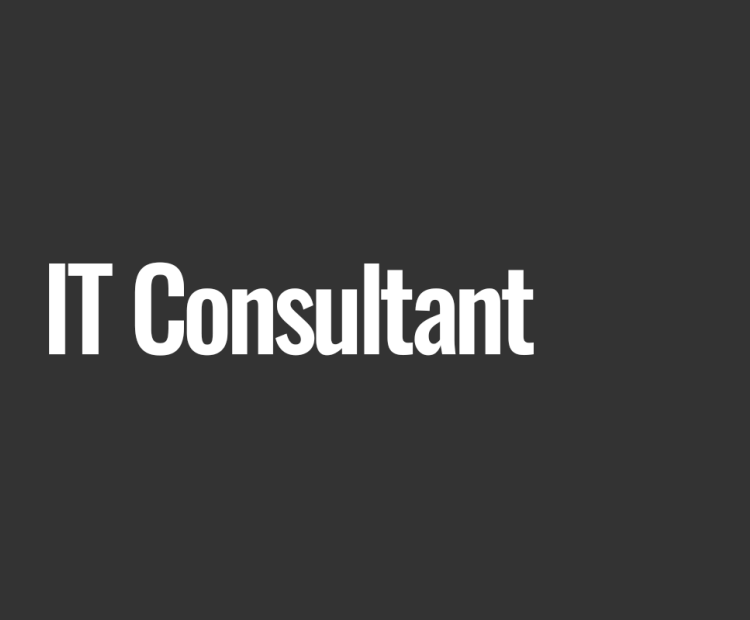 IT Consultant 